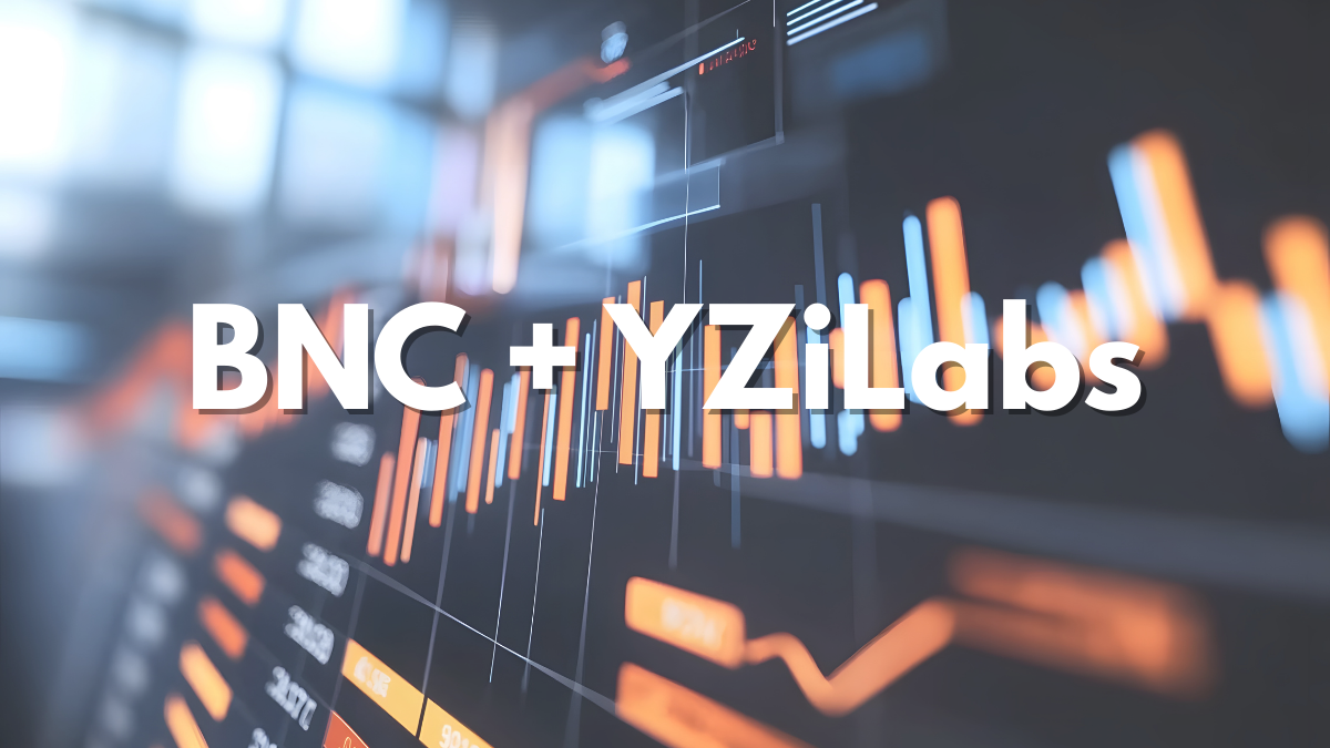 BNC’s board (yzilabs.com)
